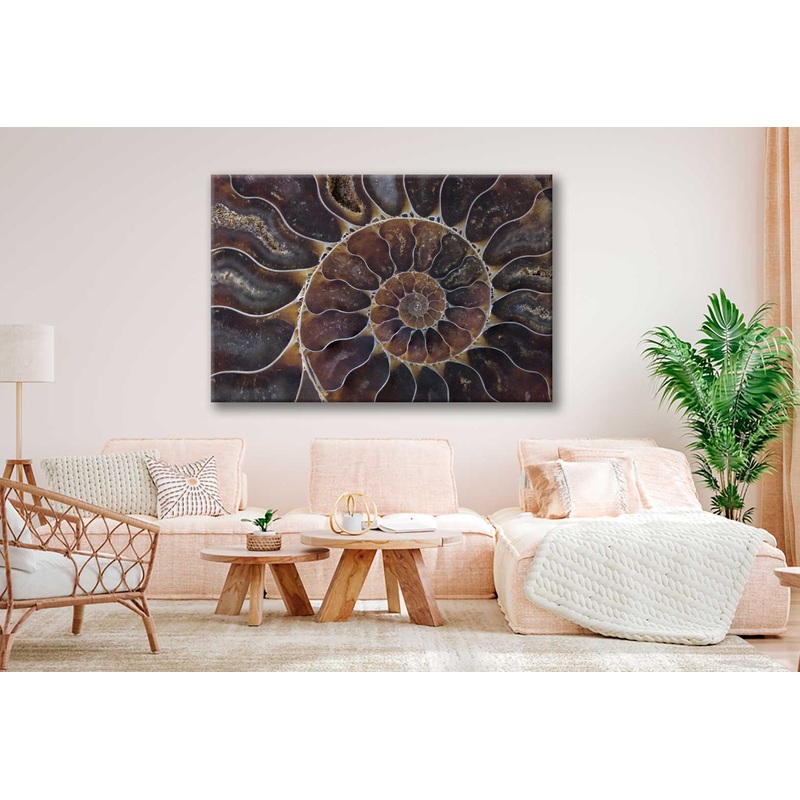 Bella Home Fossil Shell Macro Texture Art Design Print Canvas Ready to hang
