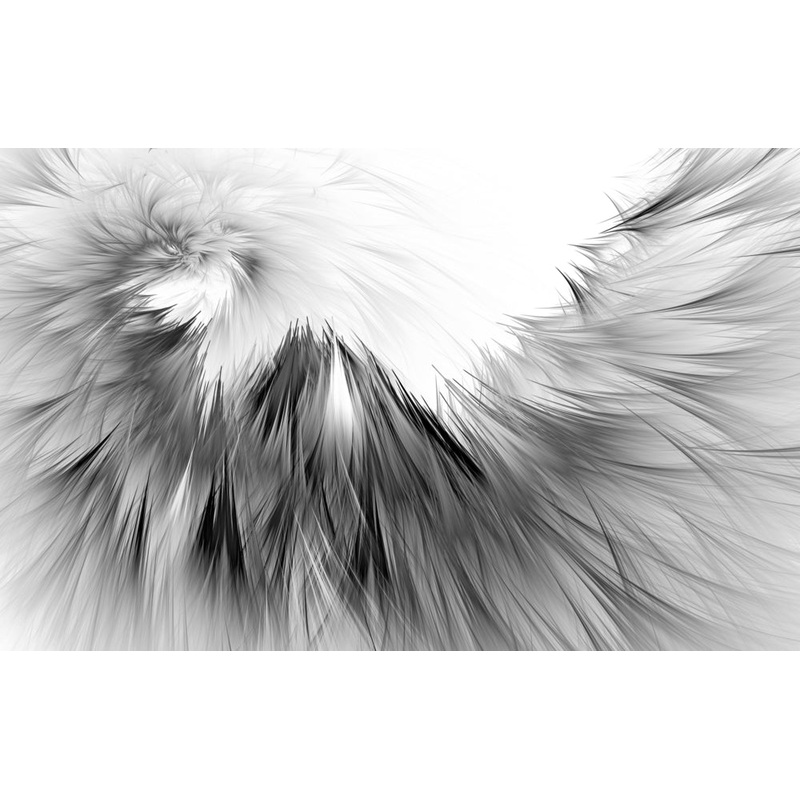 Abstract stunning black and white  Print 100% Australian Made