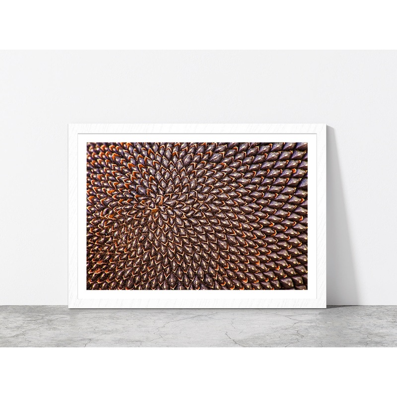 Ripe Sunflower Seeds Glass Framed Wall Art, Ready to Hang Quality Print