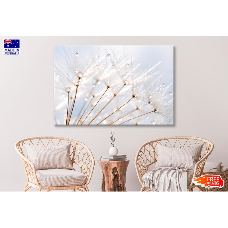 Water Droplet on Dandelion Seeds Wall Art Decor 100% Australian Made
