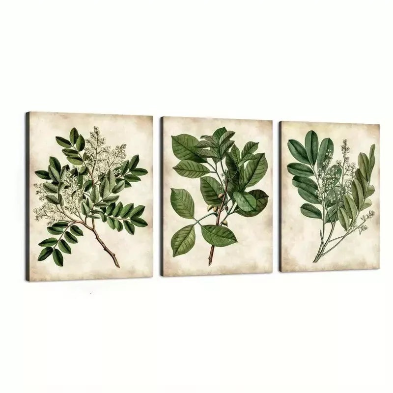 3pcs Abstract Green Leaves Botanical Vintage Wall Art Set Canvas Framed 40x60cm - High Quality Print 100% Australian Made Wall Canvas Ready to Hang