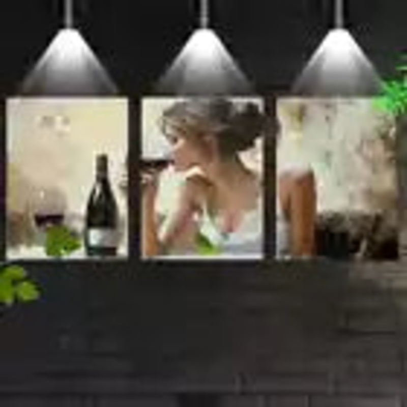 3pcs Elegant Women Drinking Red Wine Wall Art Set Canvas Framed 40x60cm - High Quality Print 100% Australian Made Wall Canvas Ready to Hang