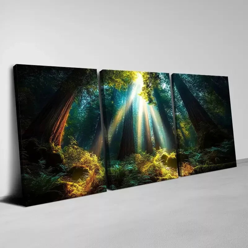 3pcs Enchanting Dark Forest Sunlight Scene Wall Art Set Canvas Framed 40x60cm - High Quality Print 100% Australian Made Wall Canvas Ready to Hang