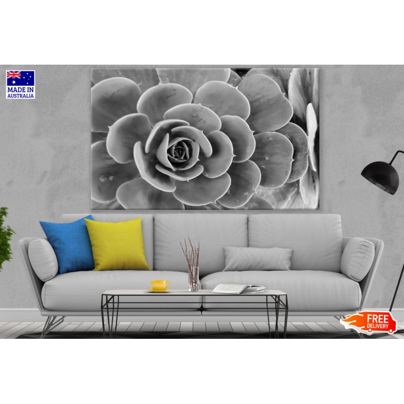 B&W Flower Photograph Print 100% Australian Made