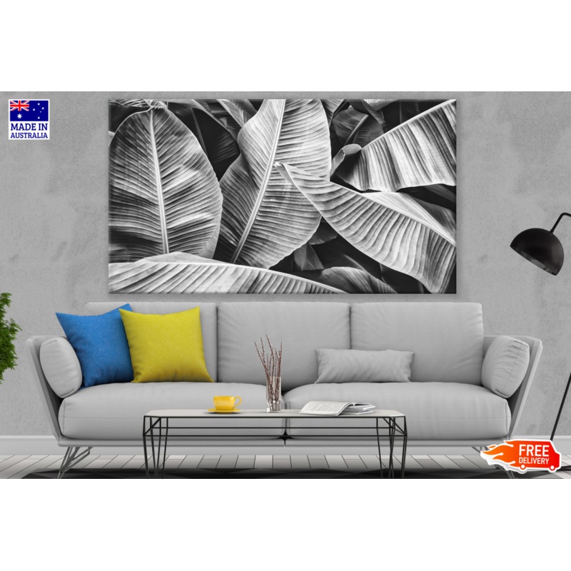 Banana Leaves B&W Photograph Print 100% Australian Made