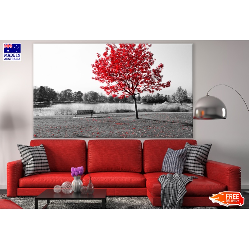 Bench Under Red Leafy Tree Near Lake B&W Photograph Print 100% Australian Made