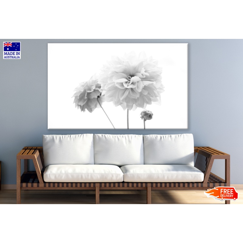 Flower B&W Photograph Print 100% Australian Made