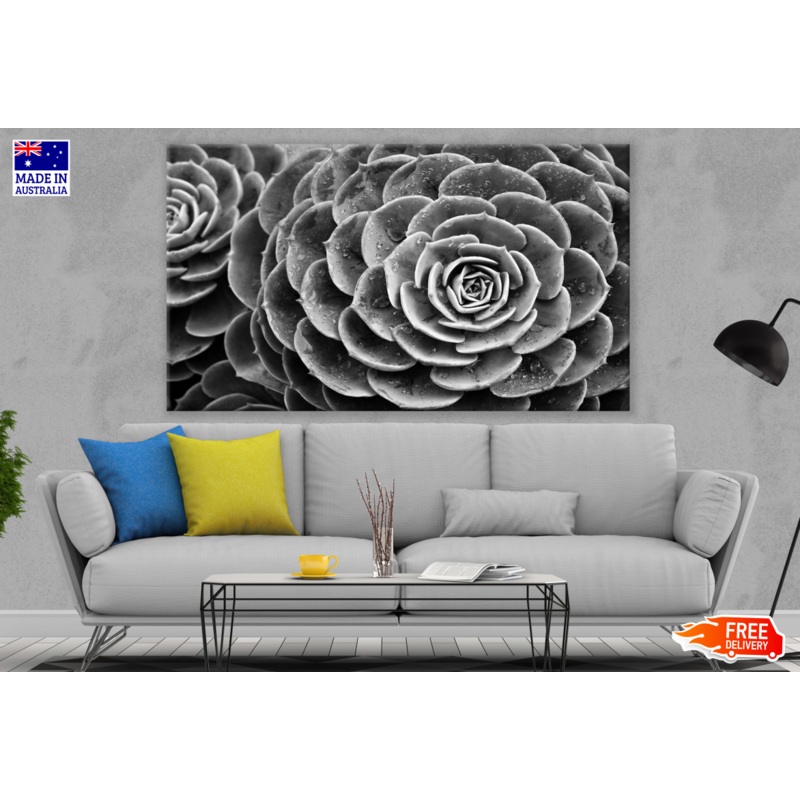Flower Black & White Photograph Print 100% Australian Made