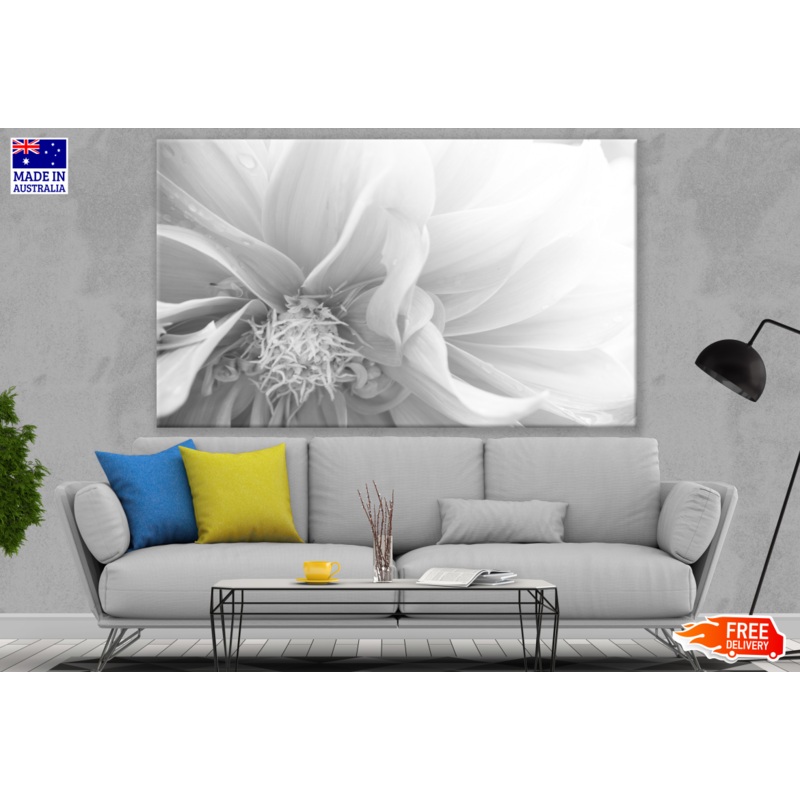 Flower Closeup B&W Photograph Print 100% Australian Made