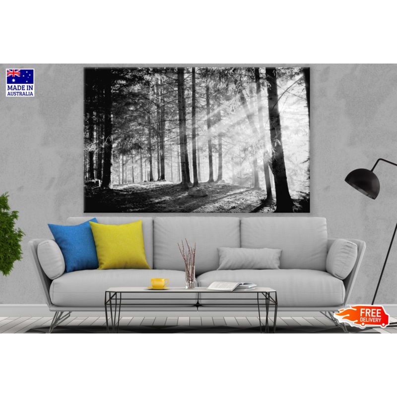 Forest Photograph B&W Print 100% Australian Made
