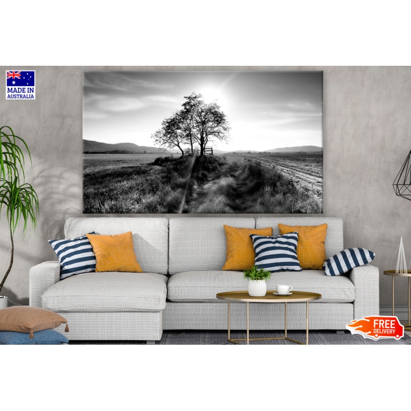 Grass Field Tree B&W Photograph Print 100% Australian Made