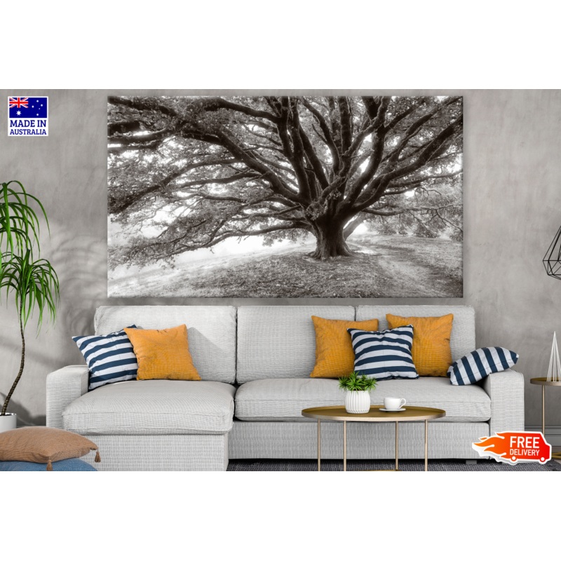 Huge Single Tree B&W  Print 100% Australian Made
