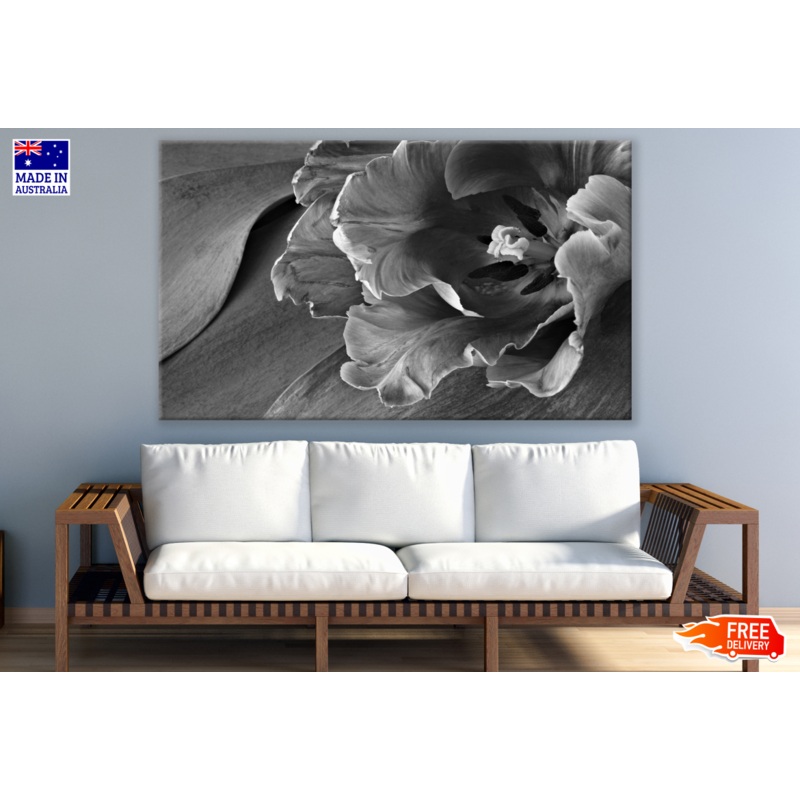 Lily Flower Black & White Photograph Print 100% Australian Made