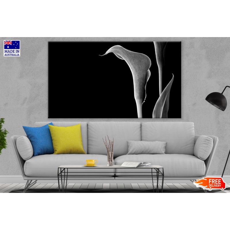 Lily Flower Close up Photograph Black & White Print 100% Australian Made