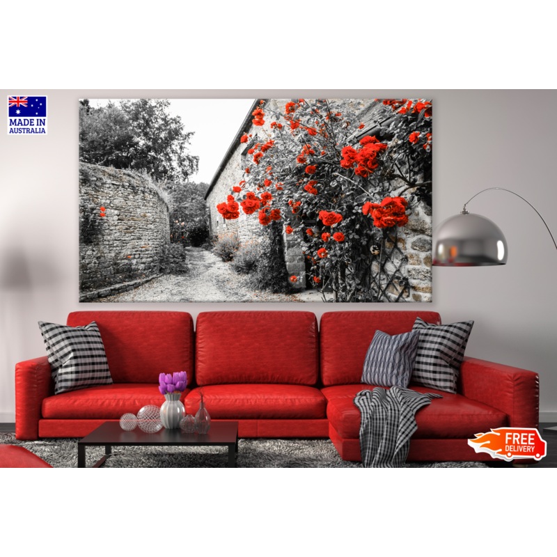 Rose Flower Plant B&W Print 100% Australian Made