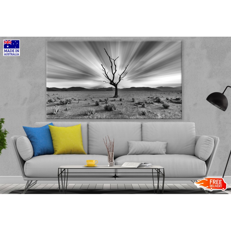 Single Dead Tree On a Valley B&W Photograph Print 100% Australian Made