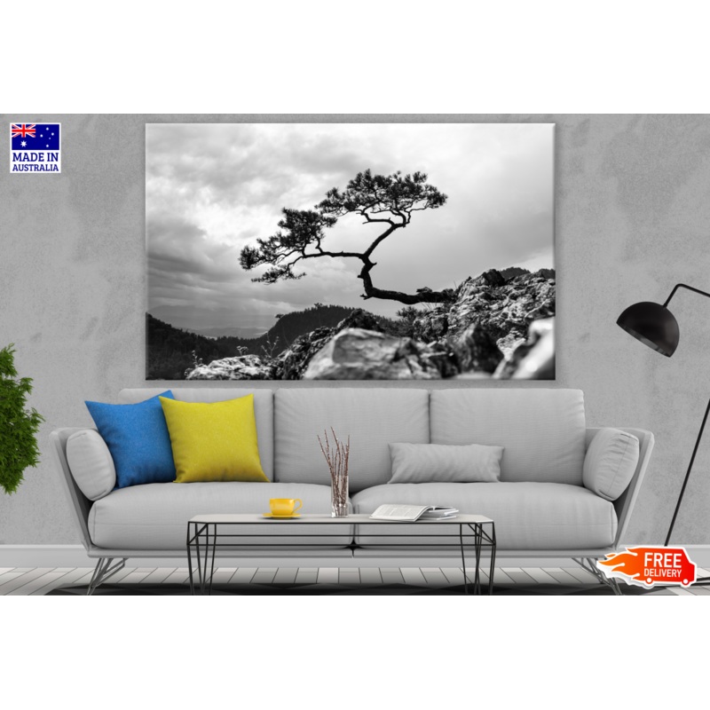 Tree on a Hill Slope B&W Photograph Print 100% Australian Made
