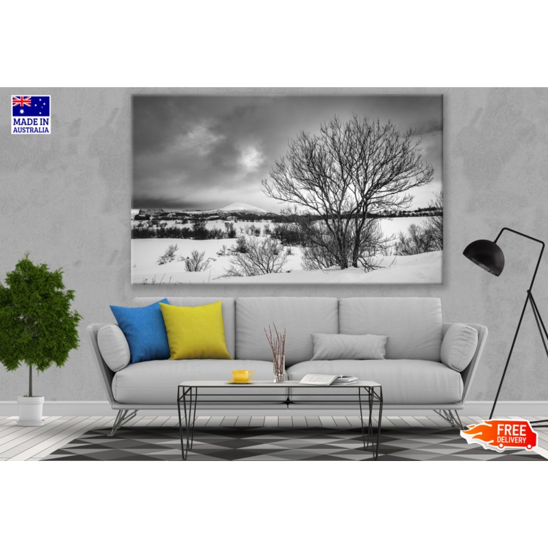 Tree on Snow Ground Mountain View Scenery B&W Print 100% Australian Made