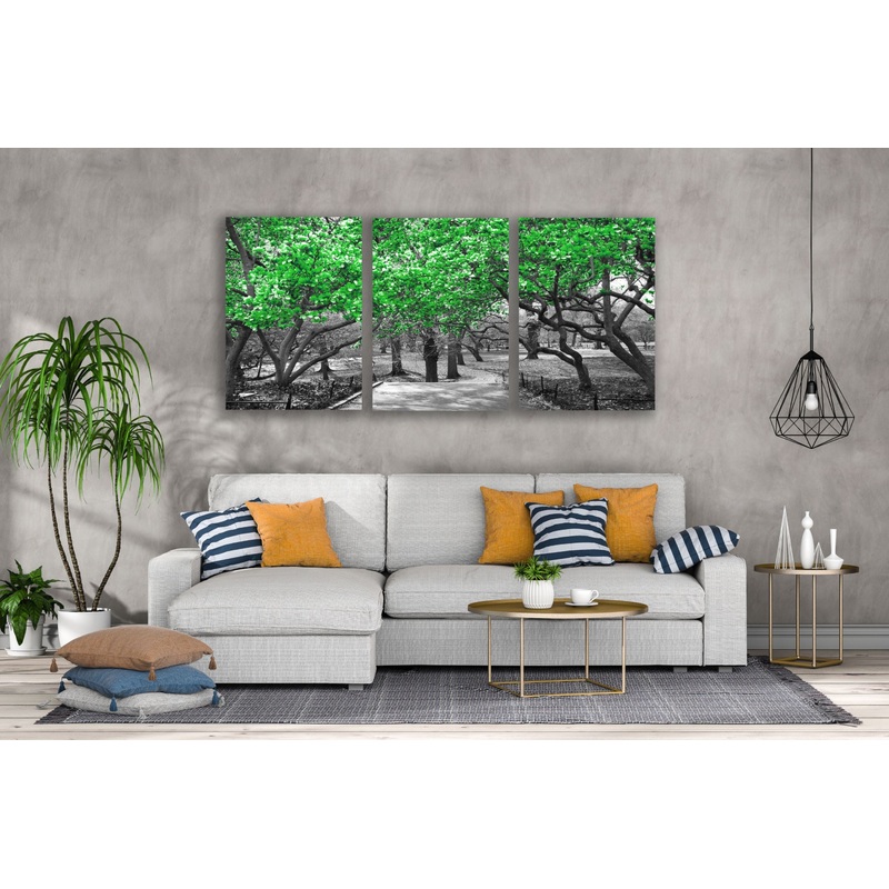 3 Set of Green Leaves Tree Park B&W Photograph High Quality Print 100% Australian Made Wall Canvas Ready to Hang