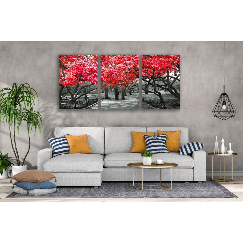 3 Set of Red Leaves Forest B&W Photograph High Quality Print 100% Australian Made Wall Canvas Ready to Hang