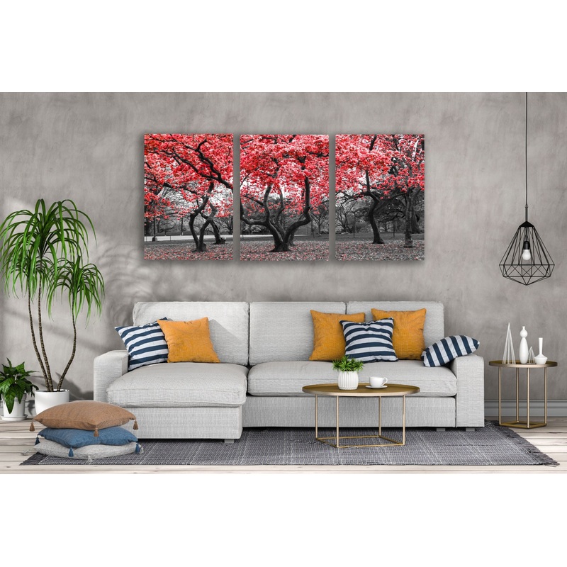 3 Set of Red Leaves Tree Park B&W Photograph High Quality Print 100% Australian Made Wall Canvas Ready to Hang