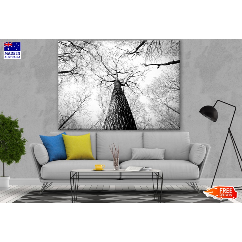 B&W Tree Photograph Print 100% Australian Made