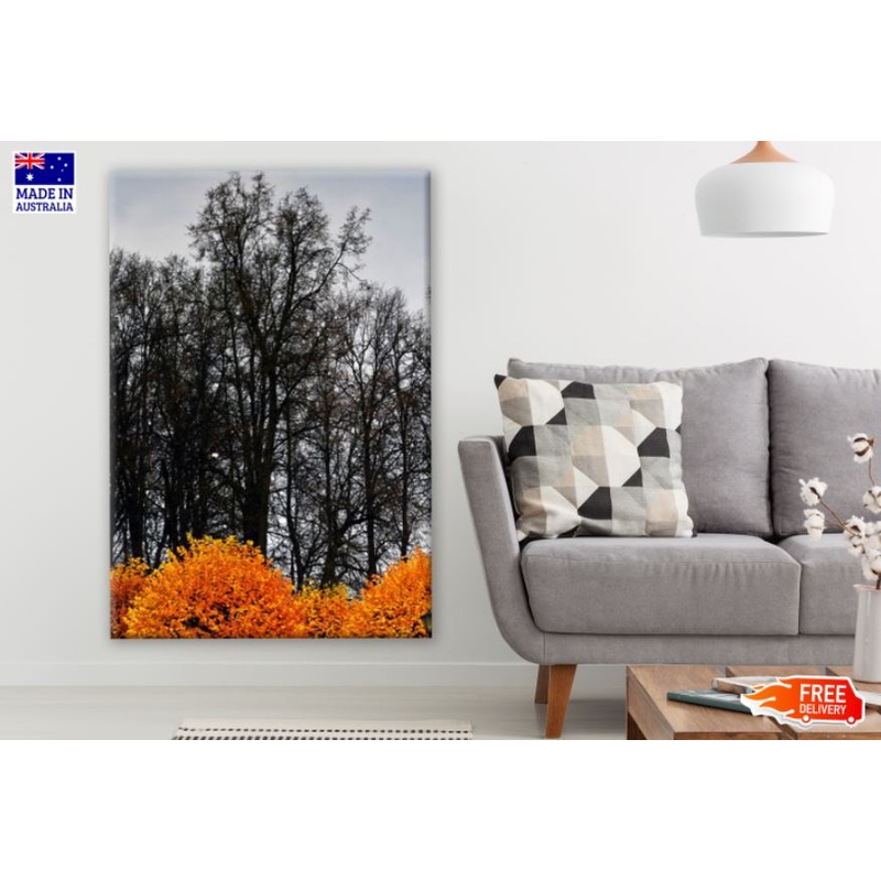 Dark Tree Forest & Orange Bush Photograph Print 100% Australian Made