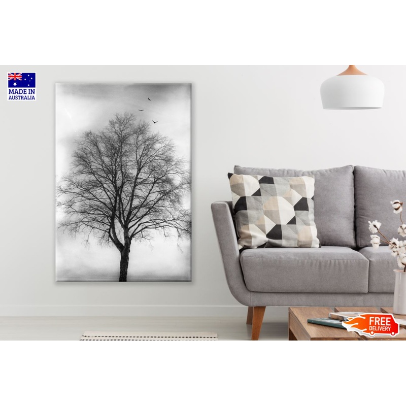 Dead Tree B&W Photograph Print 100% Australian Made