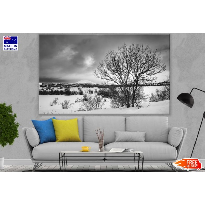 Dead Trees on Snow Ground B&W Photograph Print 100% Australian Made