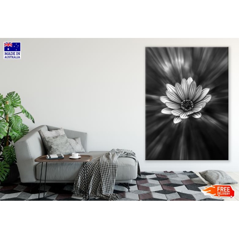 Flower B&W Closeup Photograph Print 100% Australian Made