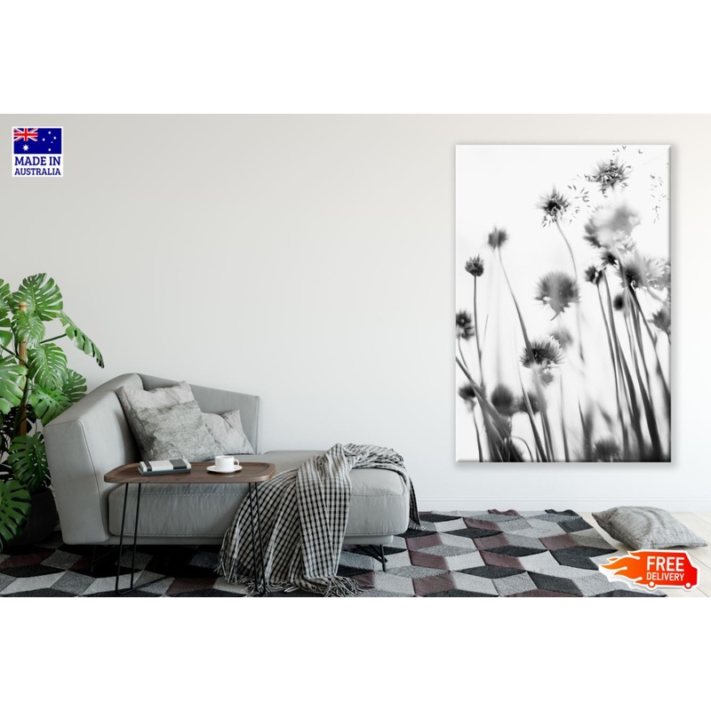 Flowers Shot from Beneath B&W Photograph Print 100% Australian Made