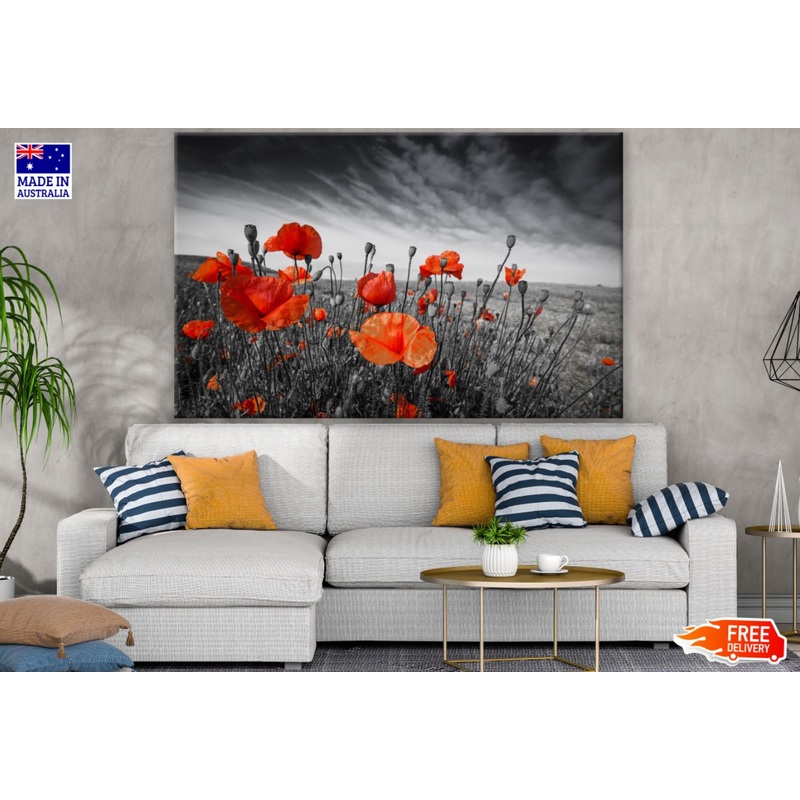 Orange Flower Field B&W Photograph Print 100% Australian Made