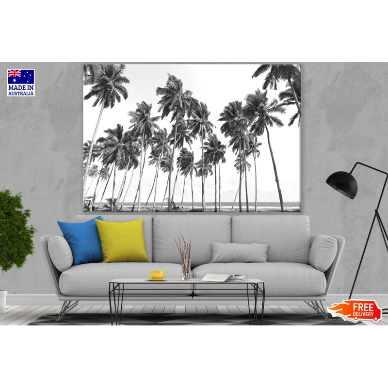 Palm Trees B&W Photograph Print 100% Australian Made