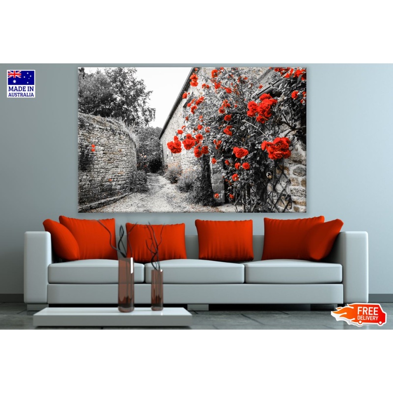 Red Flower Vines on Wall B&W Photograph Print 100% Australian Made