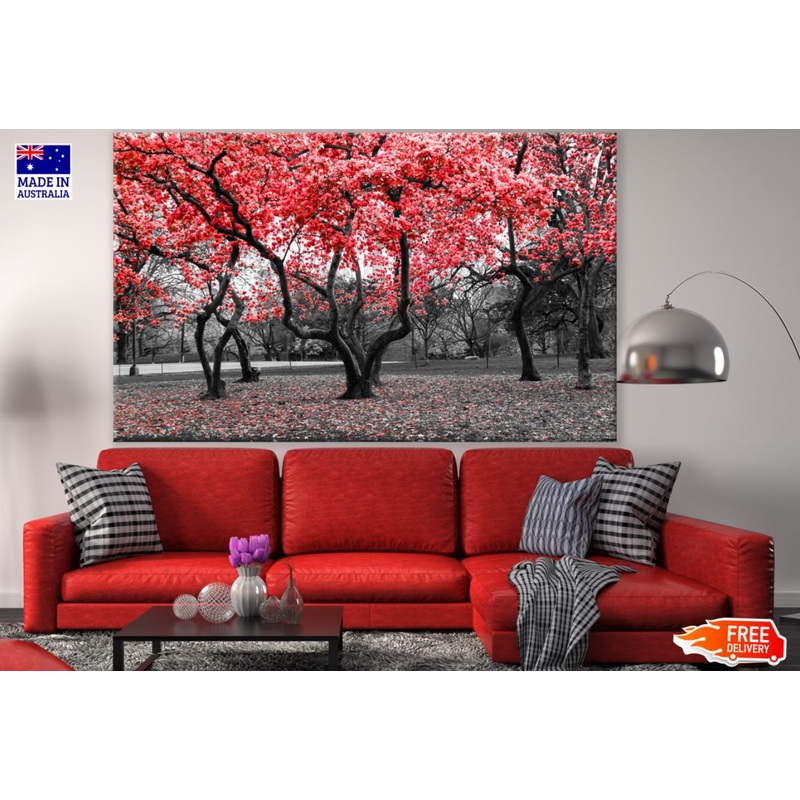 Red Leaves Forest B&W Photograph Print 100% Australian Made
