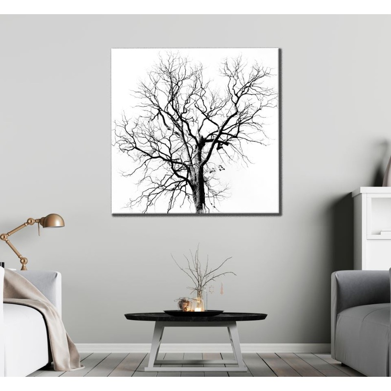 Square Canvas Dead Tree B&W Photograph High Quality Print 100% Australian Made