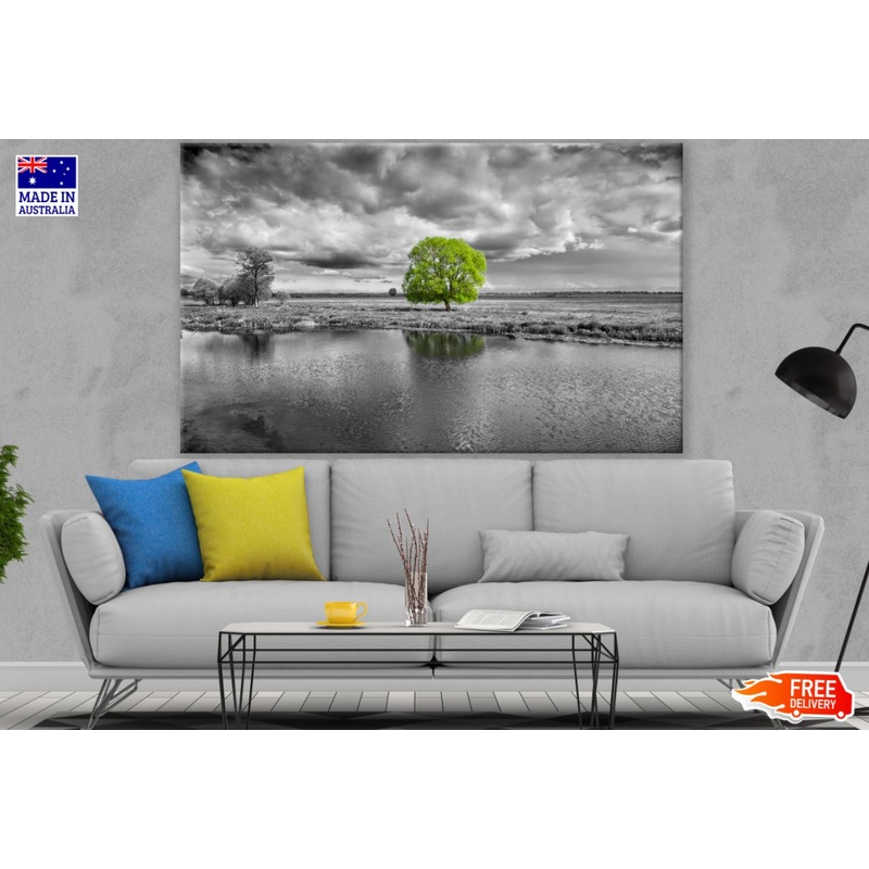Tree in a Lake B&W Photograph Print 100% Australian Made
