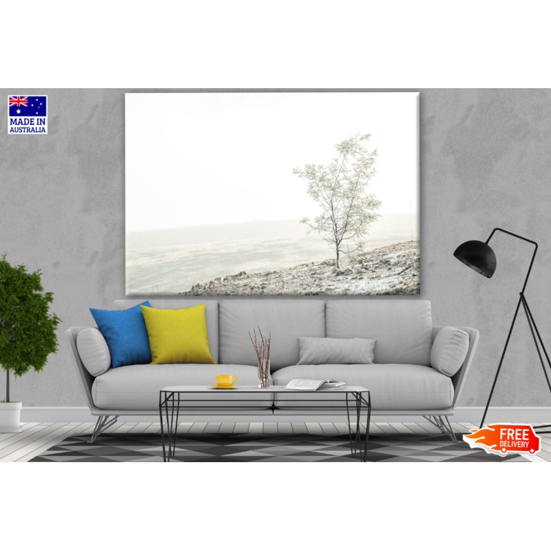 Tree on Mountain Photograph Print 100% Australian Made