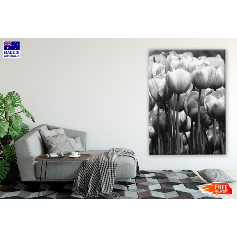 Tulip Flower Field B&W Photograph Print 100% Australian Made