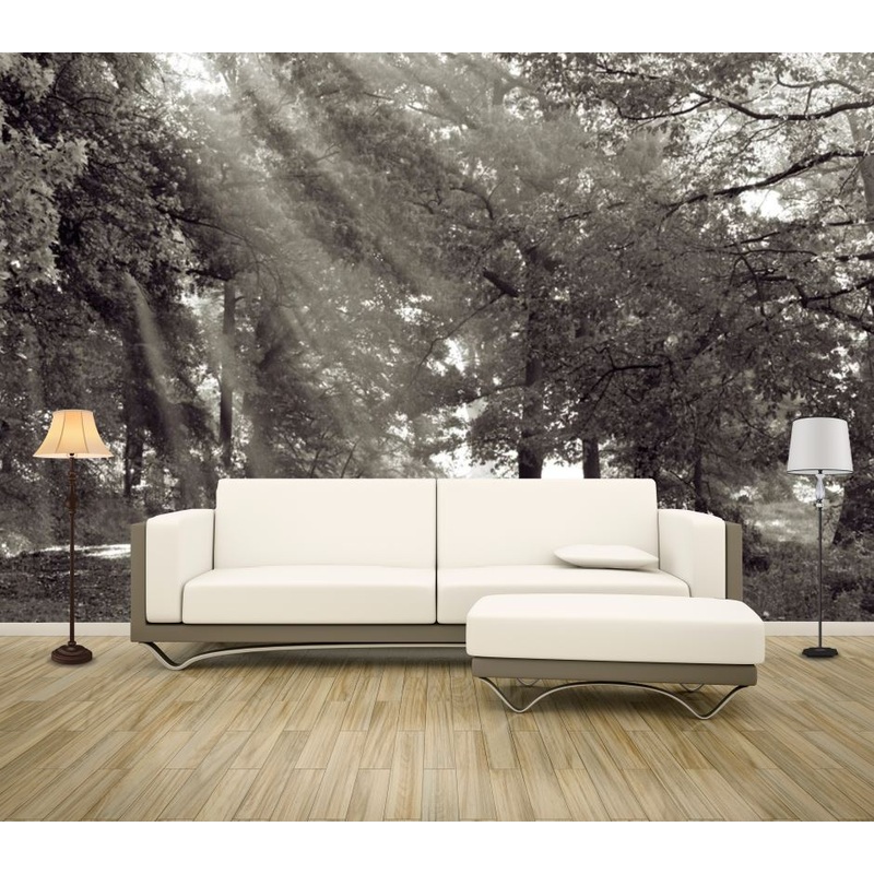 Wallpaper Murals Peel and Stick Removable B&W Forest High Quality