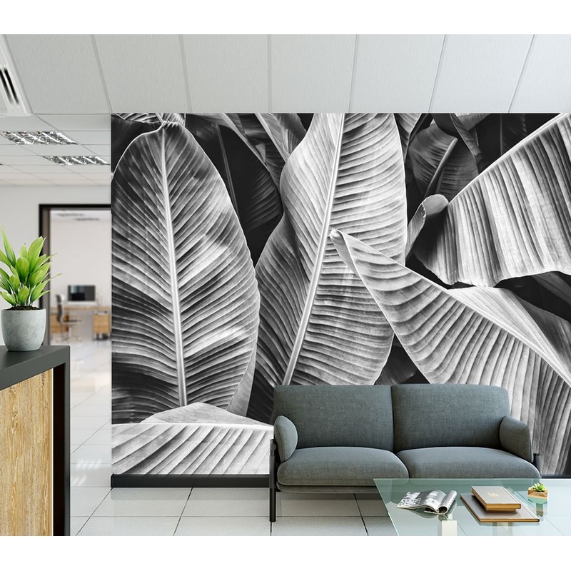 Wallpaper Murals Peel and Stick Removable Stunning Banana Leaves B&W Photograph High Quality