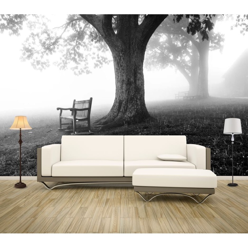 Wallpaper Murals Peel and Stick Removable Tree B&W Photograph High Quality