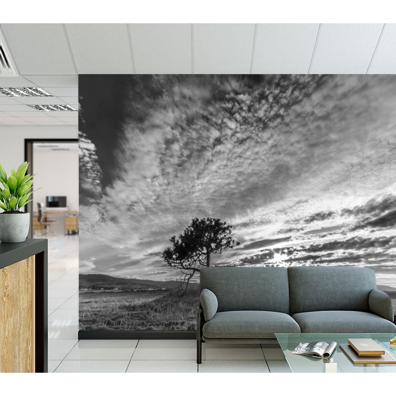 Wallpaper Murals Peel and Stick Removable Tree in a Meadow B&W High Quality