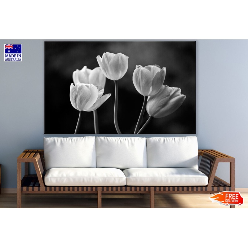 B&W Tulips Photograph Print 100% Australian Made
