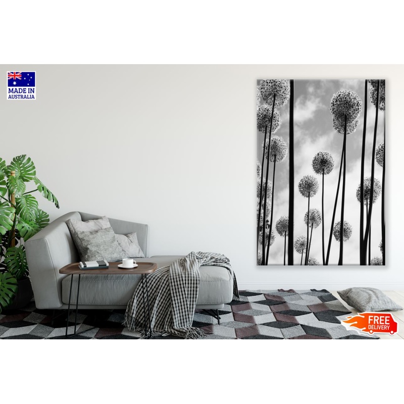 Dandelion Flowers B&W Photograph Print 100% Australian Made