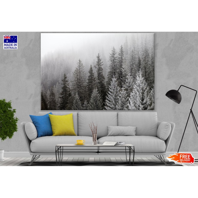 Forest Sky View B&W Photograph Print 100% Australian Made