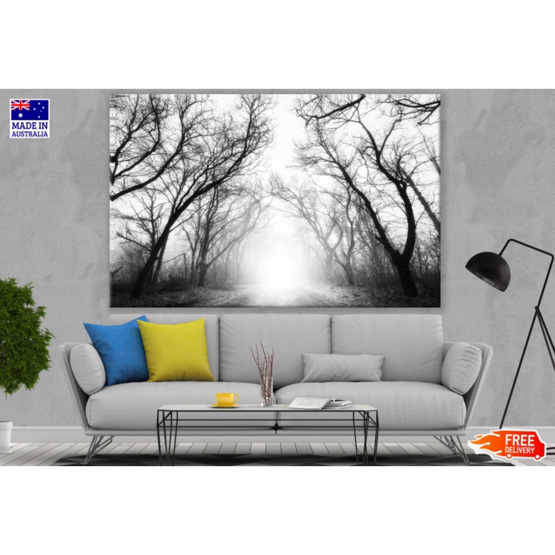 Misty Forest B&W Photograph Print 100% Australian Made