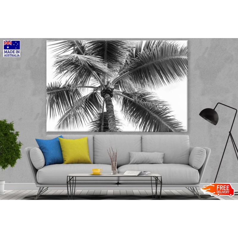 Palm Tree B&W Photograph Print 100% Australian Made