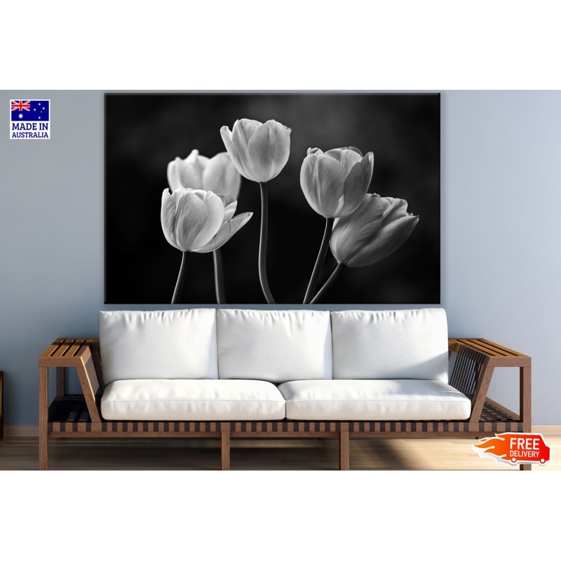 Tulip Flowers B&W Photograph Print 100% Australian Made