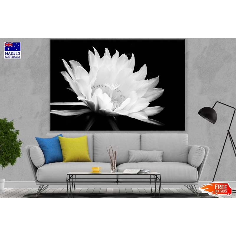 White Flower Macro B&W Photograph Print 100% Australian Made